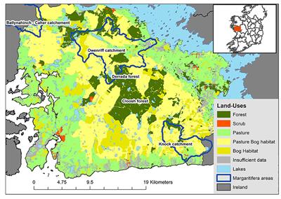 Evaluating the Impact of Future Global Climate Change and Bioeconomy Scenarios on Ecosystem Services Using a Strategic Forest Management Decision Support System